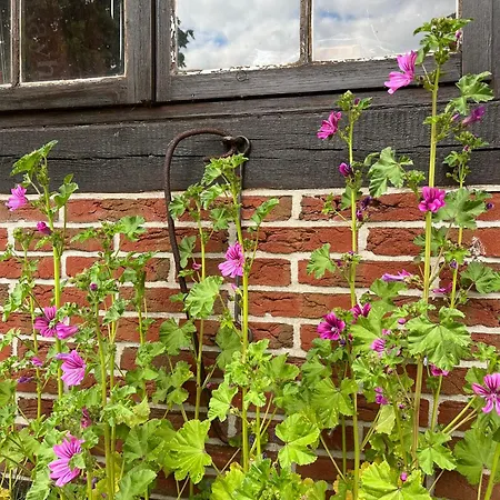 Lejlighed Hempen Fied Gaestehaus - Kleines Ferienapartment 01 Bad Zwischenahn
