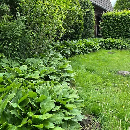 Lejlighed Hempen Fied Gaestehaus - Kleines Ferienapartment 01 Bad Zwischenahn