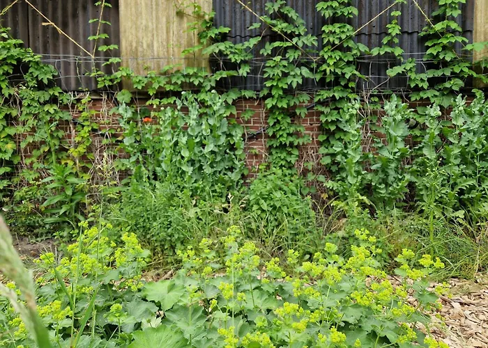 Hempen Fied Gaestehaus - Kleines Ferienapartment 01 *